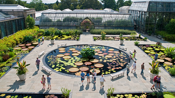 Visitors admire waterlily ponds at Longwood Garden. | Photo courtesy Longwood Garden